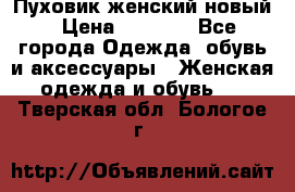 Пуховик женский новый › Цена ­ 2 600 - Все города Одежда, обувь и аксессуары » Женская одежда и обувь   . Тверская обл.,Бологое г.